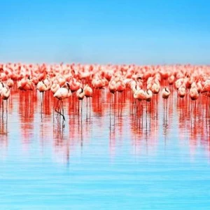 WP02608 Фотообои Verol Фотообои decoline 1х1 м