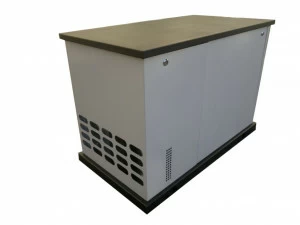 Газовый генератор REG GG10-380 S в кожухе с АВР