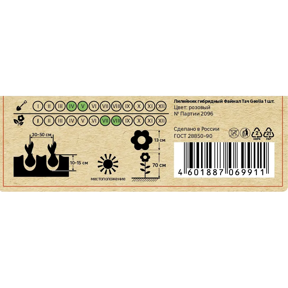 Лилейник Geolia гибридный Файнал Тач 86408711 STLM-2009589  - Вид №4