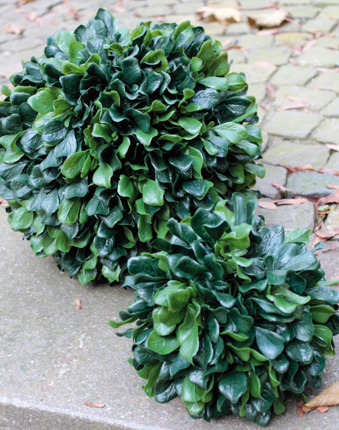 4796 883 a3 Декоративный шар 'капустный лист', Ø 20 см, зеленый H-andreas  - Вид №1