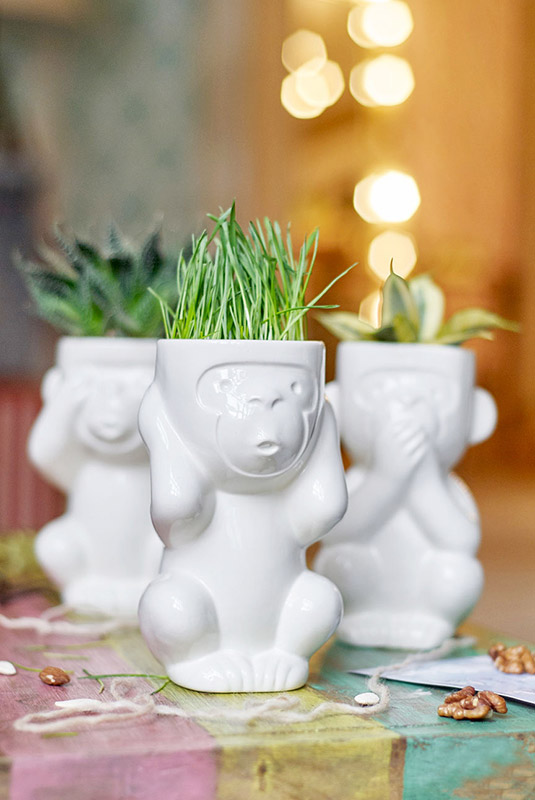 Горшок для растений Eco Слепыш ЭКОЧЕЛОВЕКИ 2001 - Вид №2