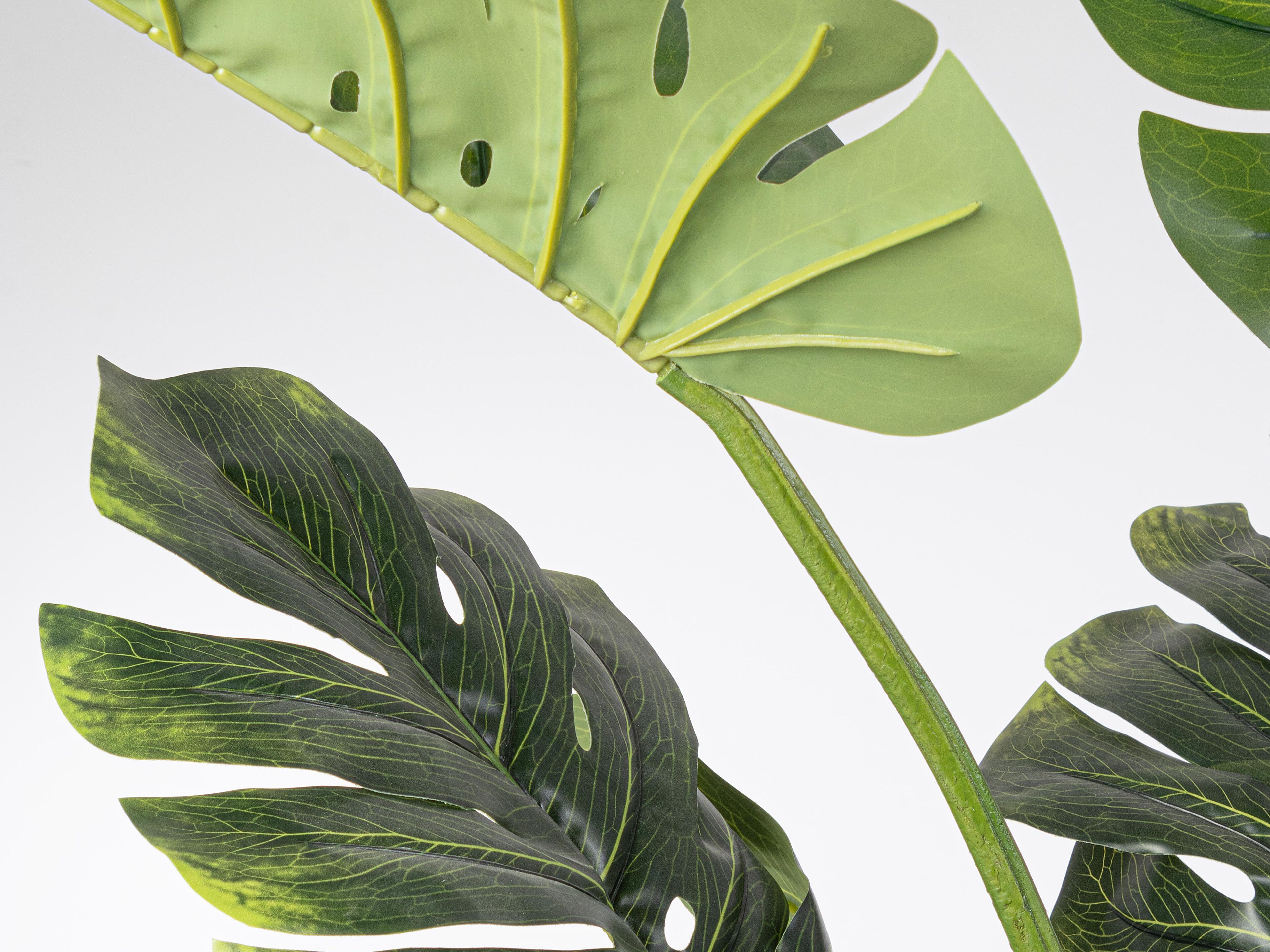 Искусственное растение BIZZOTTO FILODENDRO H150 ARCH-00018527 - Вид №1