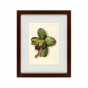 Литография на тонированной бумаге 42х52 см Watercolor collection, drawing №1, 1909 КАРТИНЫ В КВАРТИРУ  135759 Бежевый;белый;зеленый;разноцветный