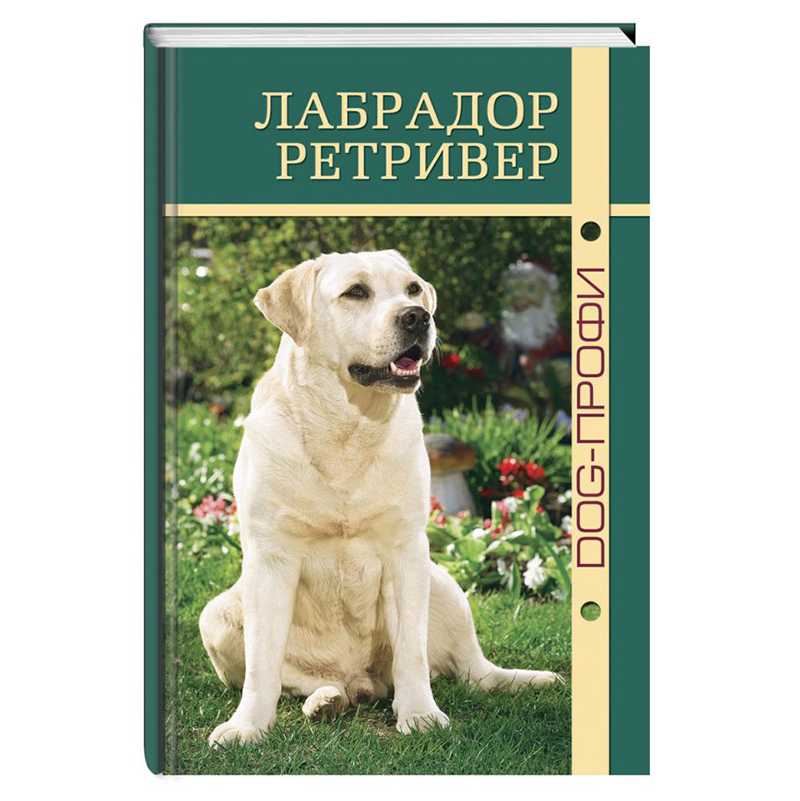 ПР0019043 Книга "Лабрадор ретривер" Т. Дрейер, Н. Ришина DOG-ПРОФИ 