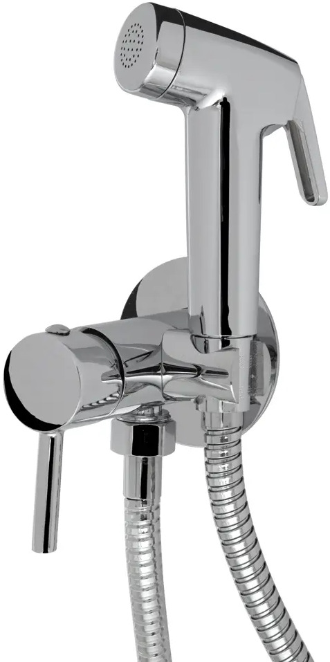Смеситель Cascada Vigo для биде с хромированным покрытием 89071386