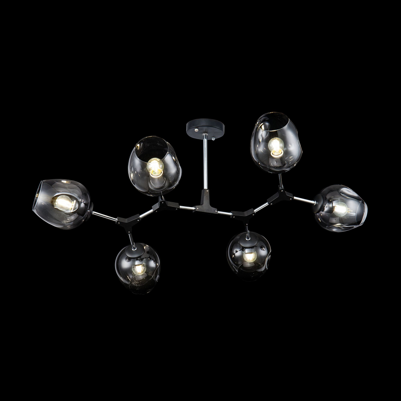 Светильник потолочный на 6 ламп черный Desi FR5006CL-06B FREYA MODERN 00-3957023 Черный - Вид №1