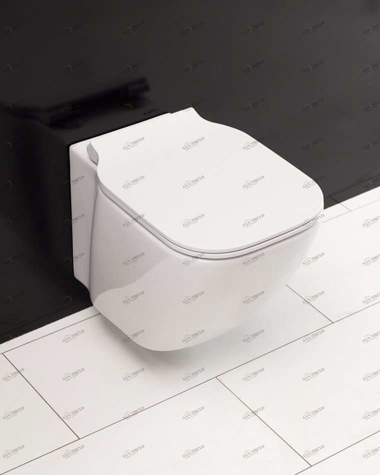 Унитаз подвесной BelBagno ALDINA безободковый Подвесной унитаз настенный Белый BELBAGNO  Китай 