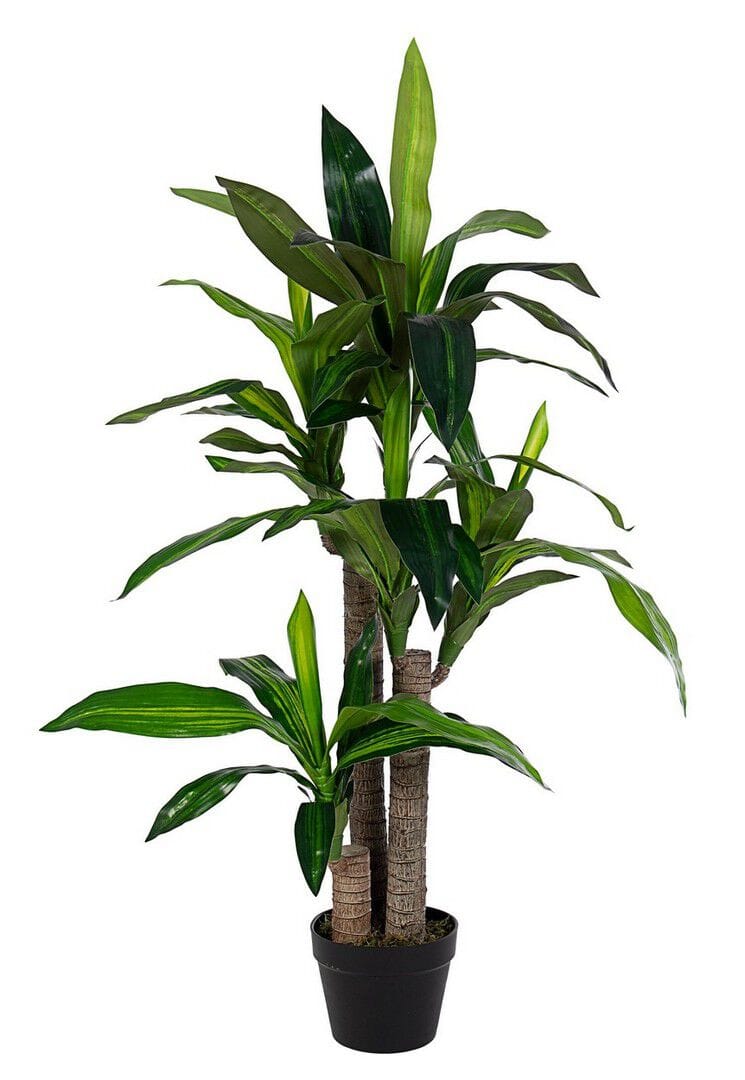 Искусственное растение BIZZOTTO DRACAENA ARCH-00014451 - Вид №1
