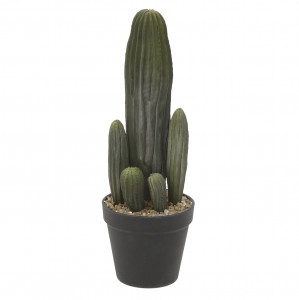3885760.0026 ИСКУССТВЕННЫЙ ЦВЕТОК В КАШПО - КАКТУС TO4ROOMS