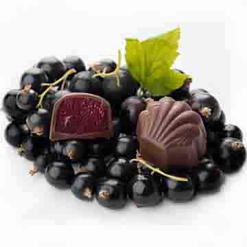 Конфеты Черная смородина в темном шоколаде CACAOJET Santreyd 34452