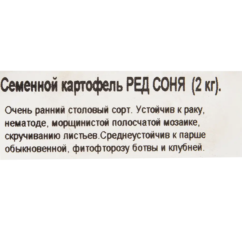 Картофель семенной «Ред Соня», 2 кг 82125092 STLM-2089208 Santreyd  - Вид №1