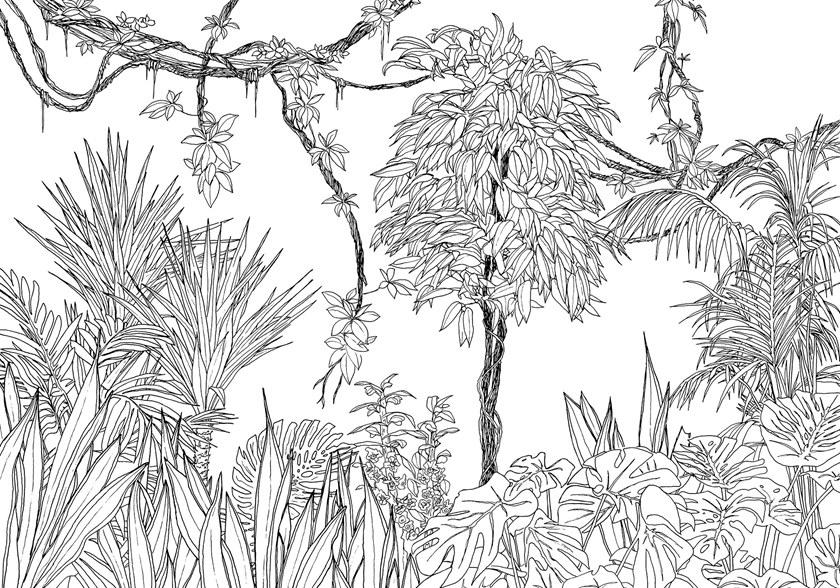 Komar Тропические обои на флизелине Raw R4-046 - Вид №1