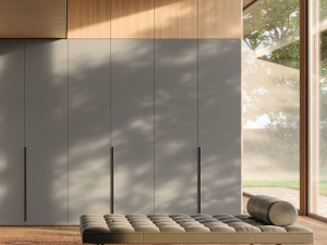 Встроенный шкаф с книжными дверцами