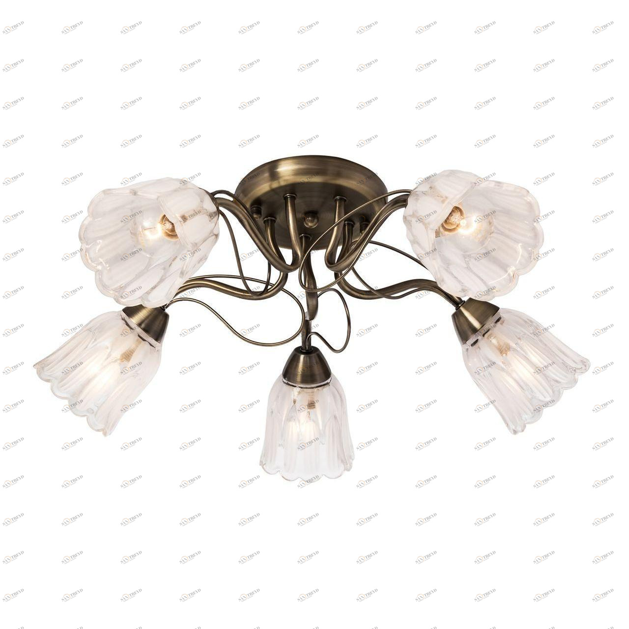 Потолочная люстра Silver Light Azalea 504.53.5 SILVER LIGHT AZALEA 183331 Белый