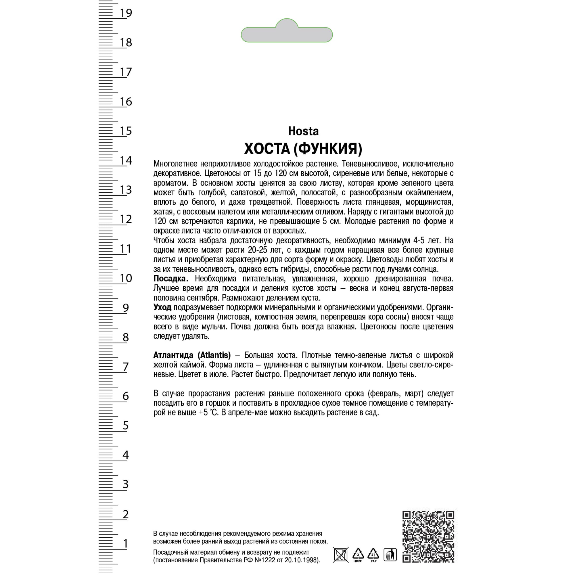 82118738 Хоста гибридная «Атлантис», 1 шт Santreyd  - Вид №1