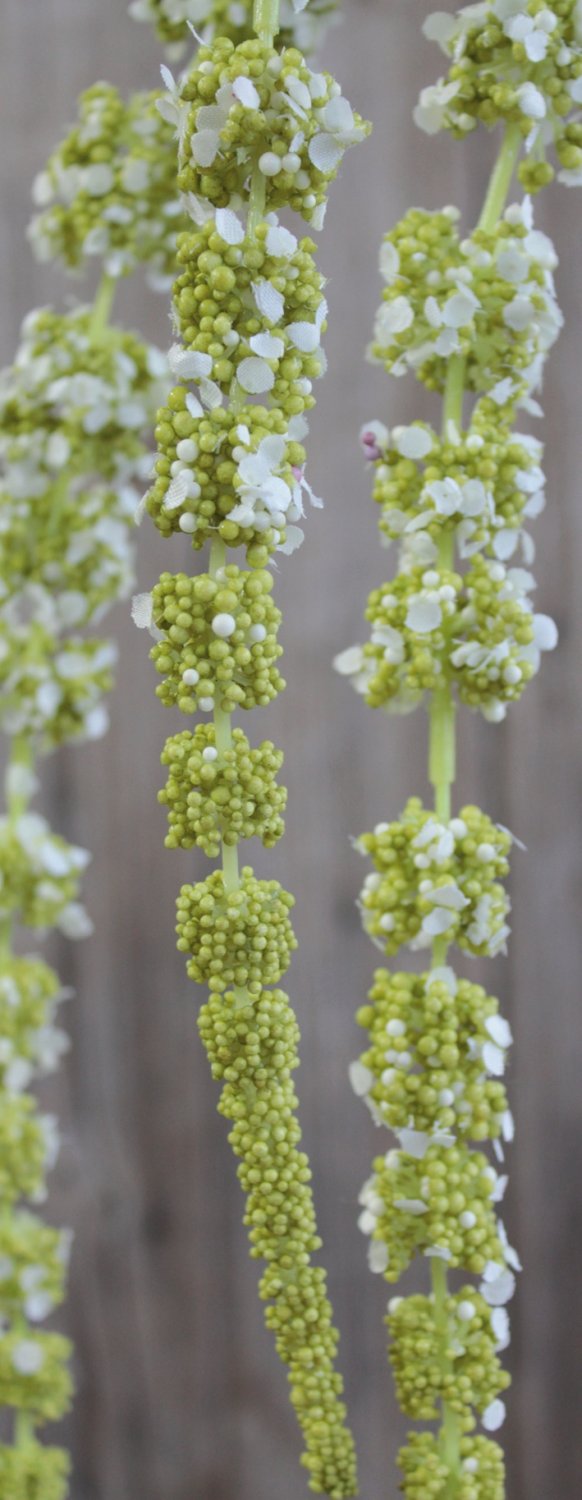 4863 807 a3 Стебель искусственного амаранта, 70 см (105 см), зелено-белый H-andreas  - Вид №6