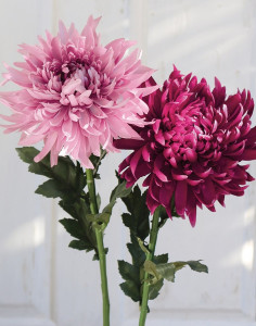 3411 597 a3 Хризантема пластиковая, 62 см, антично-розовая H-andreas