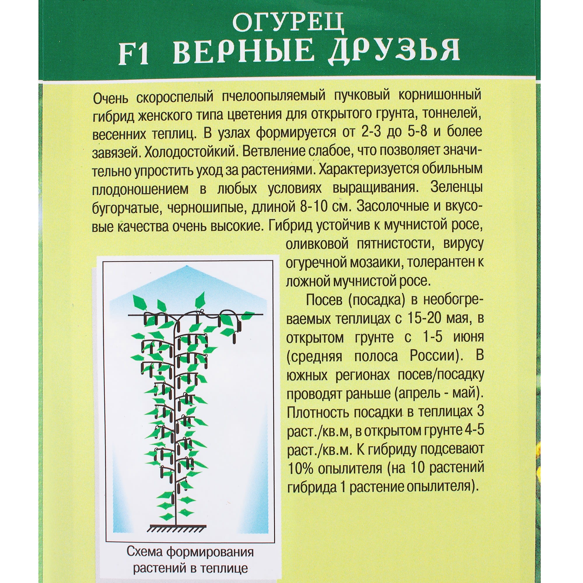 81932512 Семена Огурец «Верные друзья» F1 Santreyd  - Вид №2