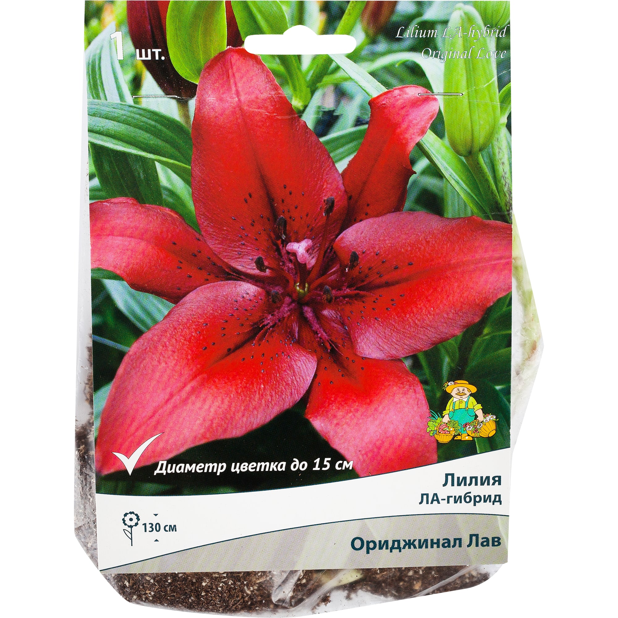 82000197 Лилия ЛА-гибрид «Ориджинал Лав», высота 50 см, 1 шт Santreyd 