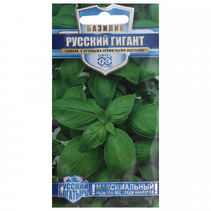 14388042 Семена Базилик зелёный «Русский гигант»