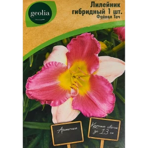 Лилейник Geolia гибридный Файнал Тач 86408711 STLM-2009589