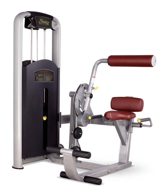 MV-009 mv-009 разгибание спины Bronze Gym MV серия 