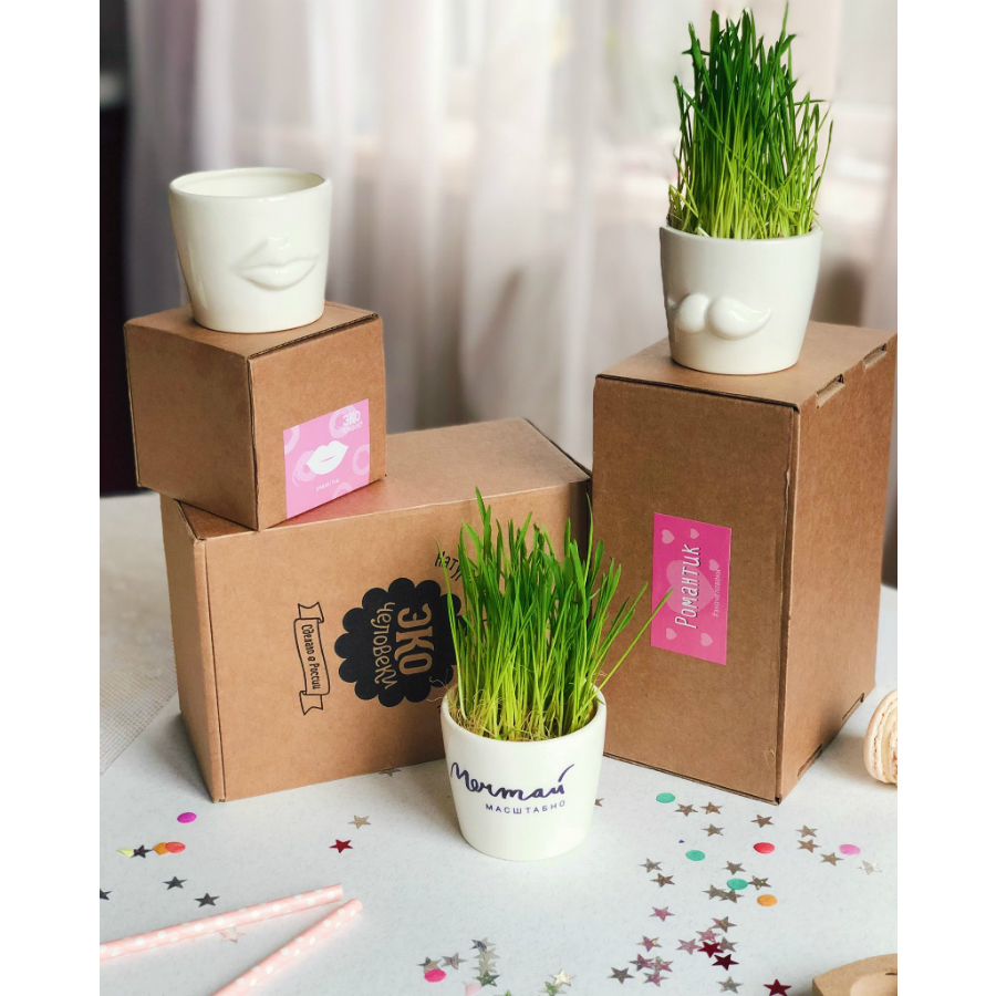 Набор для выращивания Eco мини-кашпо «Усы» ЭКОЧЕЛОВЕКИ MIN102 - Вид №6