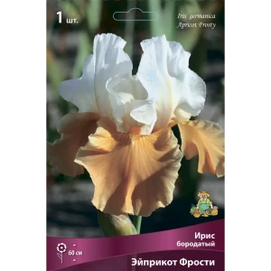 Ирис бородатый Эйприкот Фрости 85204805 STLM-2149356