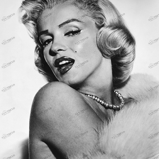 A1-018 Фотообои DIVINO Collection A 2.7х2 м A1018