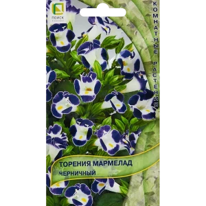 89346583 Семена цветов Поиск торения Мармелад черничный 5 шт. STLM-0966121