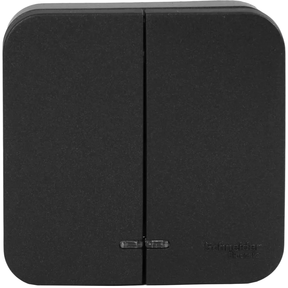 Выключатель накладной Schneider Electric Blanca 2 клавиши цвет антрацит SYSTEME ELECTRIC STLM-2172650 - Вид №1