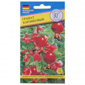 17301387 Гранат карликовый