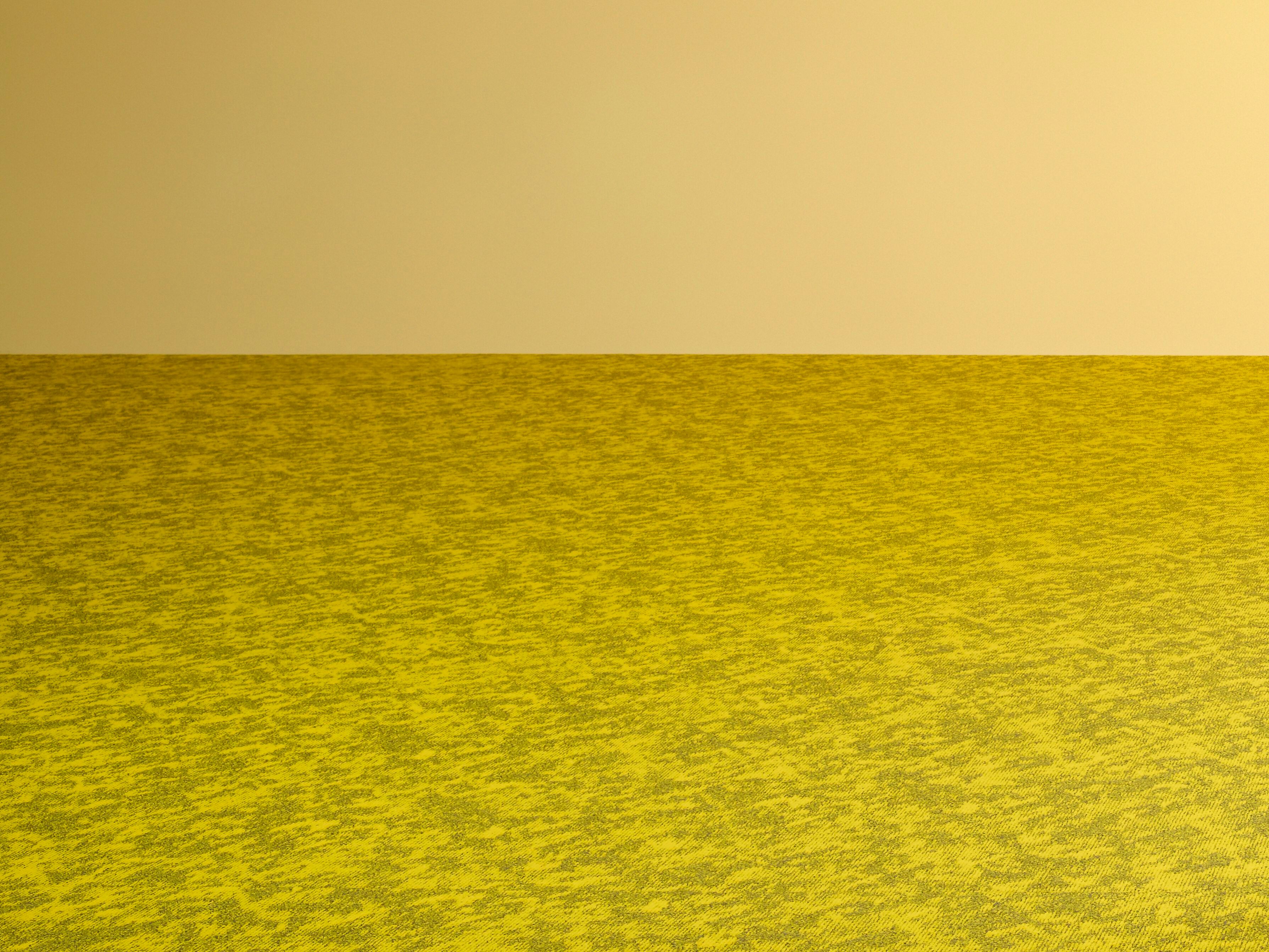 Нейлон®сплошной цвет ковер MODULYSS Motion / Vision ARCH-00140357