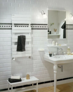 Водяной радиатор SX-067-100 Régate Acova 666