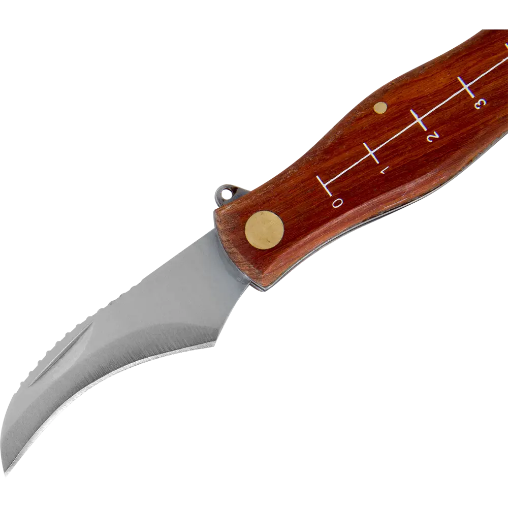 PALISAD Нож грибника с деревянной рукояткой и щеткой для очистки 82158920 STLM-0020775 - Вид №1