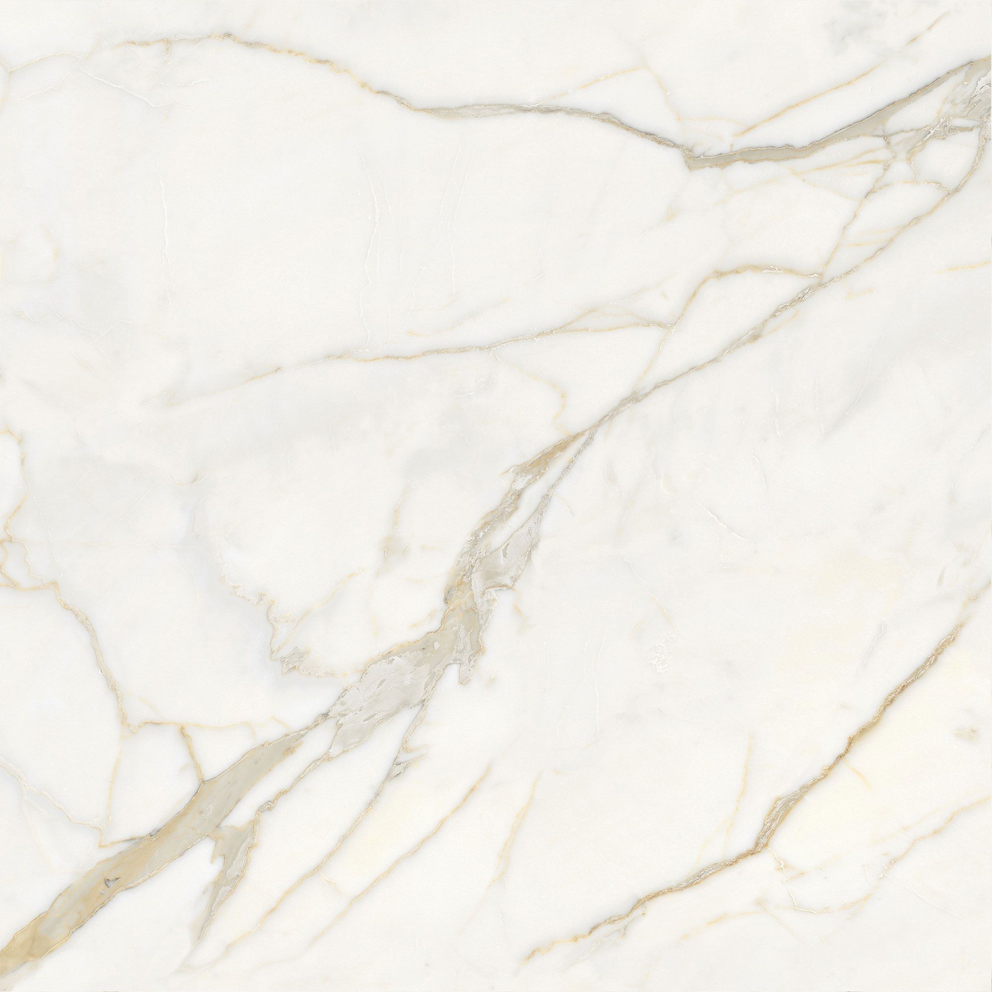 Пол / керамогранит с мраморным эффектом Italgraniti Marble Touch ARCH-00152884 - Вид №28