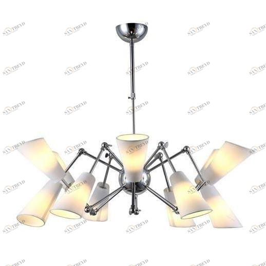 Подвесная люстра Divinare 9988/02 LM-12 DIVINARE ДИЗАЙНЕРСКИЕ 187699 Белый 