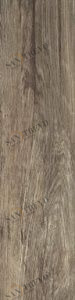 LIMBA 16,5х66 BEIGE Rektifiye Parlak Nano Kutahya 786