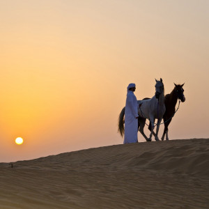 1561/CX38 Картина 1561 Adriani e Rossi