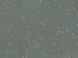 Mutina Настенная / напольная плитка из неглазурованного керамогранита Primavera