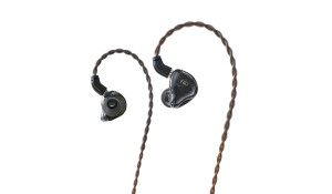 566054 Внутриканальные наушники FD1 black Fiio