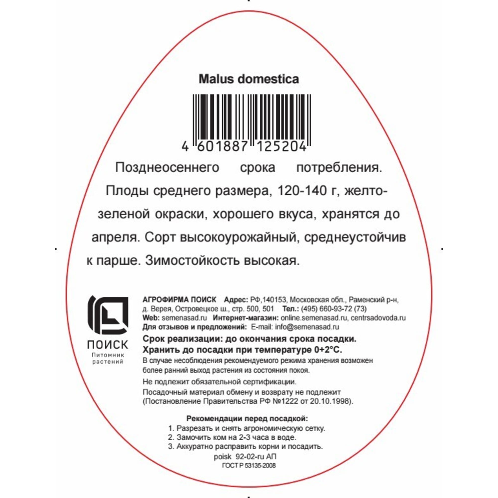 83791303 Яблоня колоновидная Янтарное ожерелье Santreyd  - Вид №1