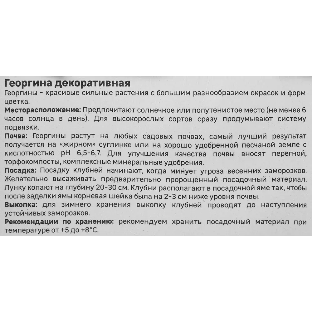 Георгина Geolia декоративная Дуэт STLM-2022976 - Вид №3