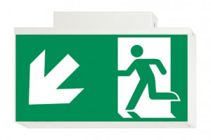 DST-2841 Lisu ceiling-mounted Daisalux Светильники сигнальные Белый