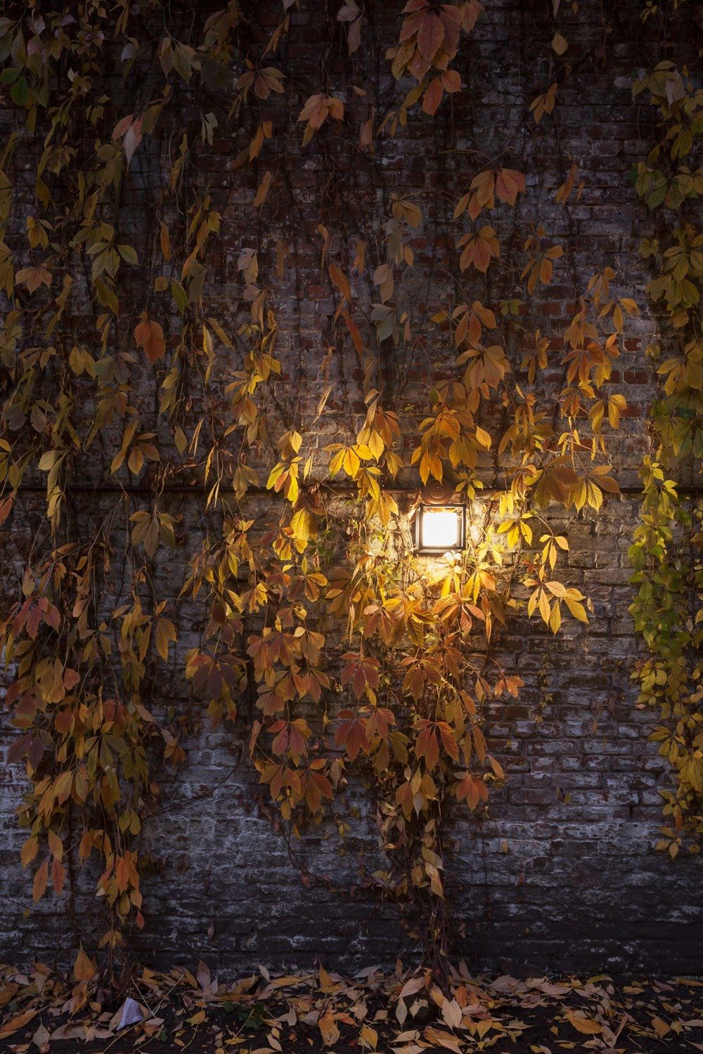 Светодиодный настенный светильник из опалового стекла Deltalight Montur ARCH-00107546 - Вид №5