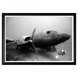 896519143_1818 Арт-постер «Дакота» под водой» Object Desire