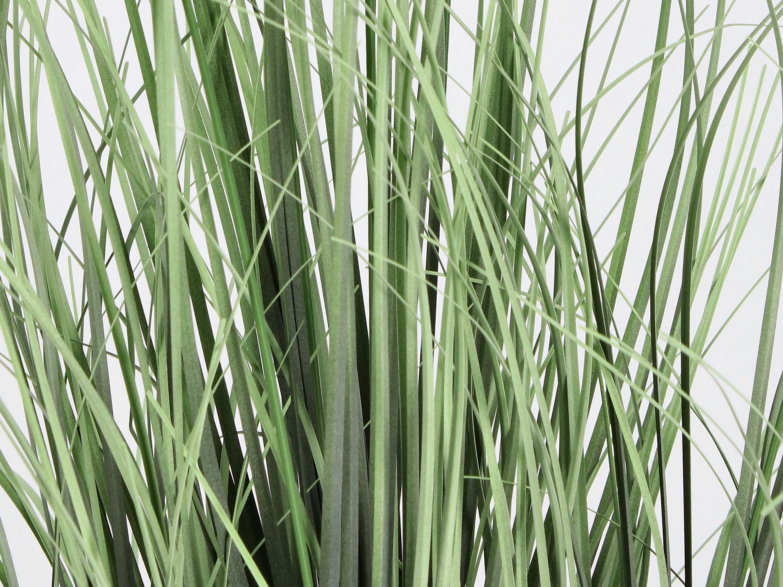 Искусственное растение BIZZOTTO PENNISETUM H61 ARCH-00129433 - Вид №2