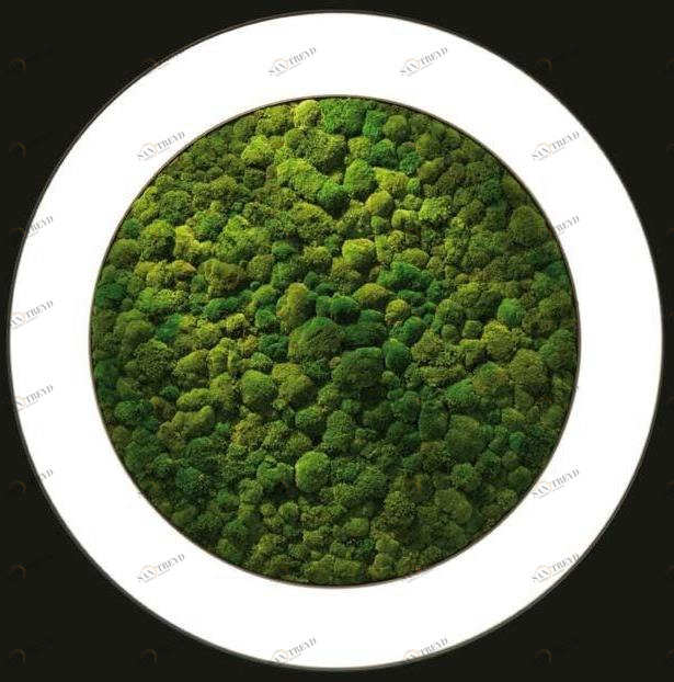 Sattler Настенный светильник из сухого мха Luce verde sun-id-1443576