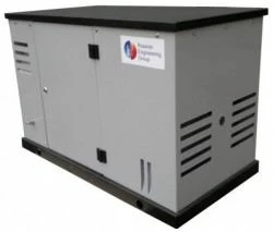 Бензиновый генератор REG PG12-230 S