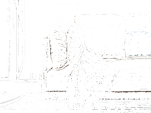 Dall'Agnese 3-х местный диван из хлопка sun-id-1380002 - Вид №1